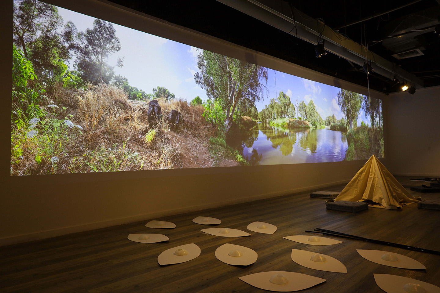 coomon habitat